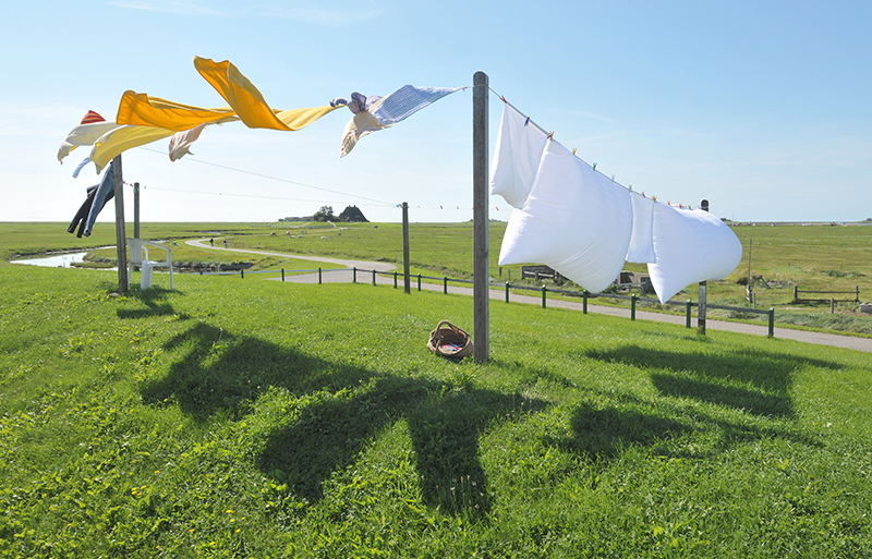 DIY Laundry Detergent (Powder & Liquid Recipes Included!)