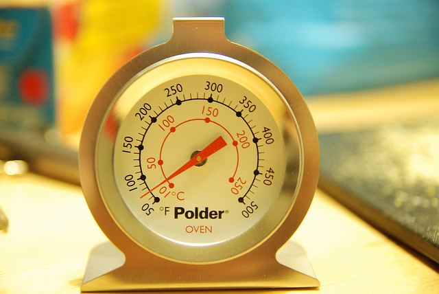Why Everyone Needs an Oven Thermometer