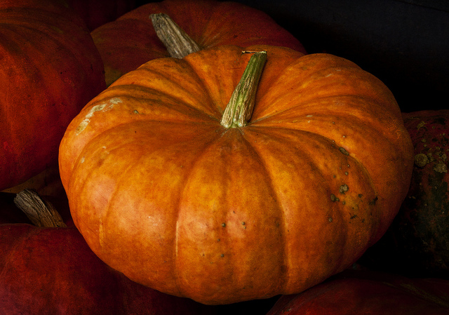 How to Cook Soup Inside of a Pumpkin