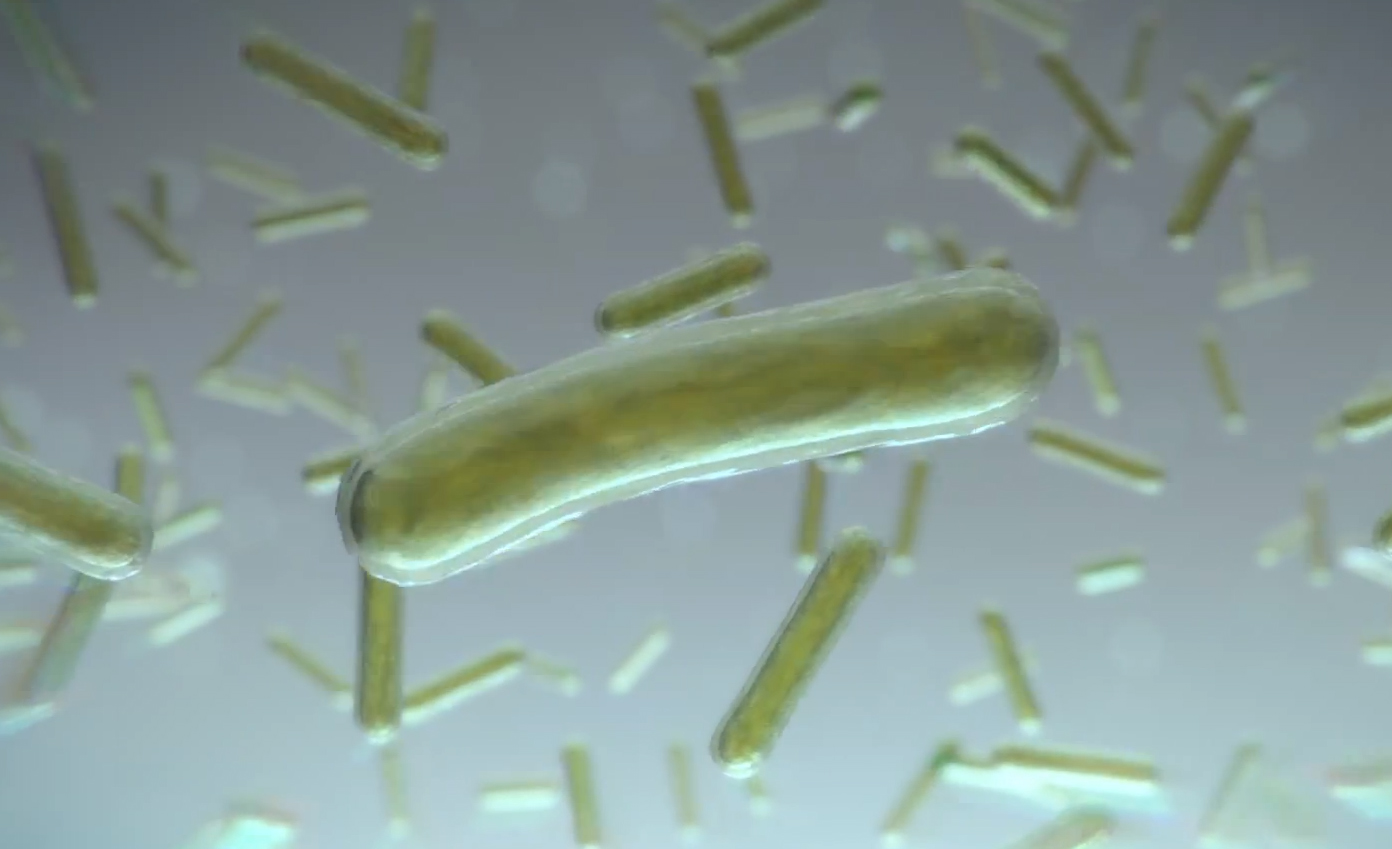 New Dyson Humidifier Kills Germs with Ultraviolet Light for Cleaner Air