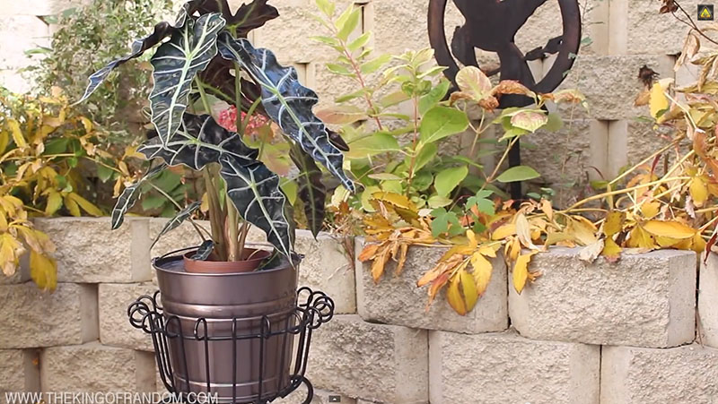 Melt Soda Cans with This Disguised Backyard Foundry