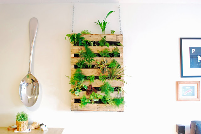 Build a DIY Garden Wall with a Pallet and Landscape Fabric