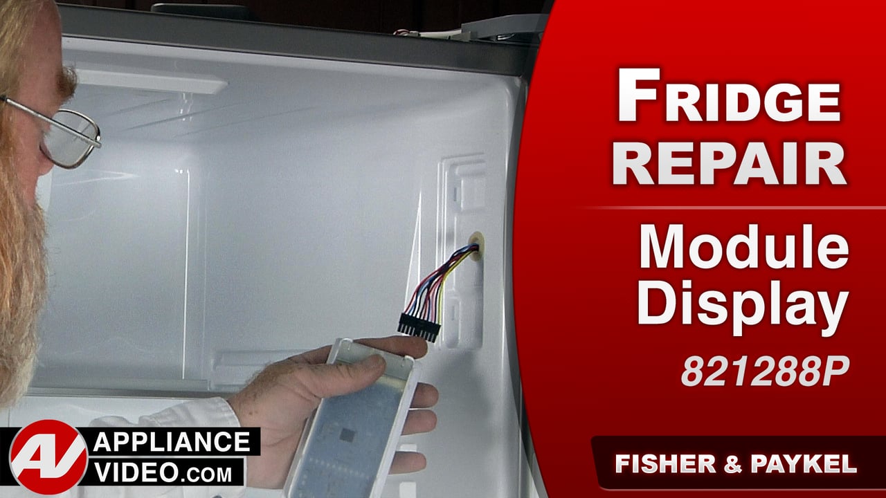 Fisher & Paykel E522BRXU4 Refrigerator – Stuck Keys – Module Display