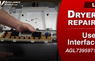 LG DLEX9000V Dryer – Baffle is damaged – Drum Baffle