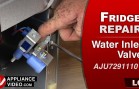 LG LFC28768ST Refrigerator – Will not make ice – Water Inlet Valve