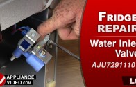 Samsung RF22R7551DT/AA Refrigerator – Leaking water in Fresh Food cabinet – Fresh Food Evaporator Cover