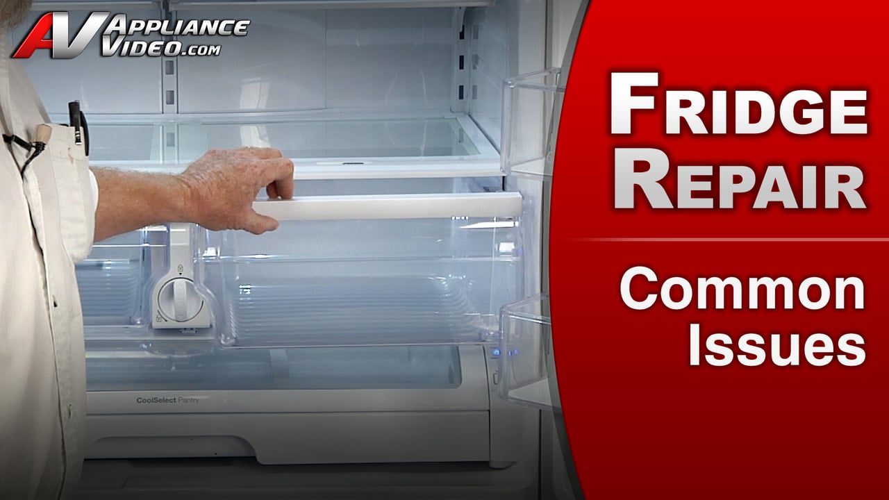Samsung RF263TEAESR Refrigerator – Common Issues