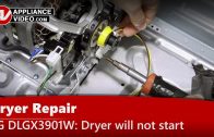 LG DLGX3901W Dryer – Squealing noise while running – Drum Roller Assembly