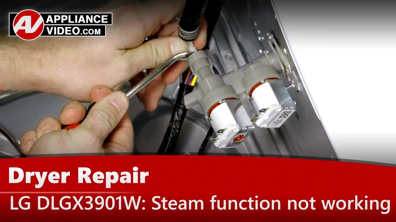 LG DLGX3901W Dryer Water valve is leaking Water Inlet Valve Appliance Video
