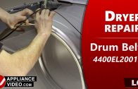 LG DLG7301WE Dryer – Motor hums but will not start – Drive Motor